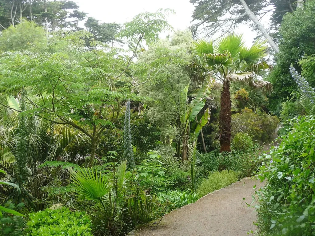 Le jardin Georges Delaselle