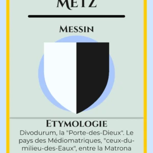 10 - Flashcard Metz up