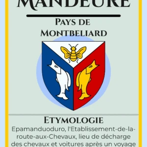 16 - Flashcard Mandeure
